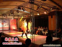 絲露文化傳播 武漢慶典與文藝演出的專業(yè)服務(wù)商